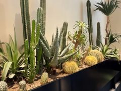 -J Create城市露营咖啡·简餐·宠物(上海动物园店)