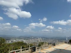 -风云岭森林公园