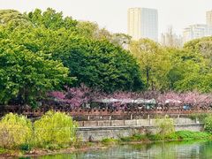 -望江楼公园
