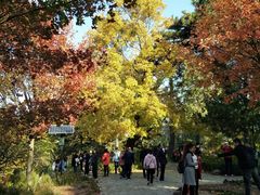 -香山公园-东宫门售票处