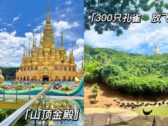 -西双版纳勐泐文化旅游区