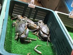 -盒马鲜生(杭州运河上街店)