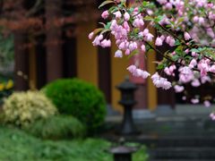 -慧因高丽寺