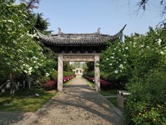 -荆川公园