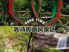 -黄山翡翠谷景区