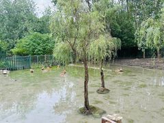 -溱湖国家湿地公园