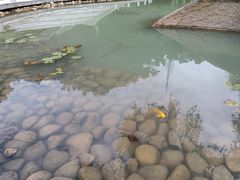 -景山公园