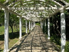 -苏州上方山国家森林公园
