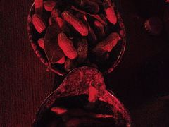 -夜火烤摊·东北烧烤酒场·老杨小黄鱼