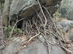 -中国花亭湖风景名胜区-西风禅寺