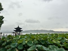 -西湖文化广场