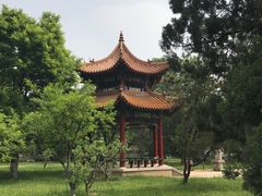 -曲阜师范大学(曲阜校区)