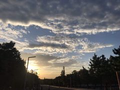 -合肥滨湖国家森林公园