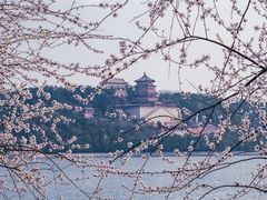 -颐和园
