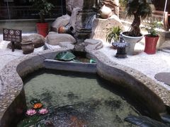 -映像威海·海鲜味道(市区店)