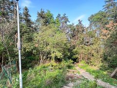 -素山寺森林公园