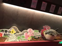 -肆月河豚·新淮扬菜·烤鸭(中关村店)
