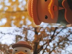 -八大关景区