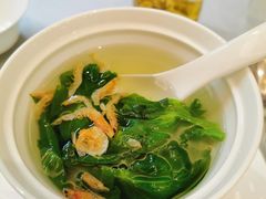 泉水浸时蔬-虹御轩·传承江浙菜(虹桥店)