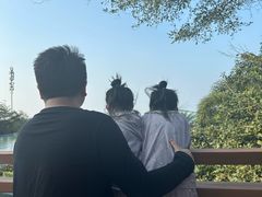 -海口万豪·大堂吧·望海吧.日落海景·下午茶·奶茶·咖啡·轻食·蛋糕·鸡尾酒·清吧
