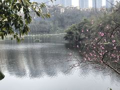 -重庆彩云湖湿地公园