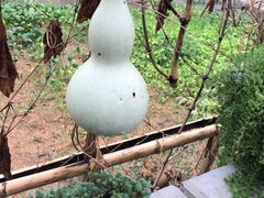 -将军关探险漂流