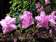 -白草畔自然风景区