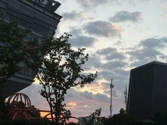 -The BREW·酿餐厅(浦东嘉里大酒店)