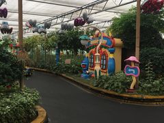 -南宫五洲植物乐园