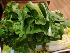 -芦月轩羊蝎子(劲松店)