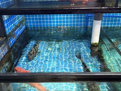 -吉友粥底火锅(方斜路店)