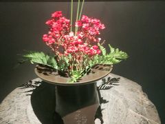 -觀芷隐轩·宋宴(河坊街店)