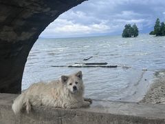 -大理洱海