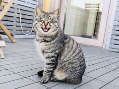 -前叁門