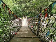 -青峰峡国家森林公园