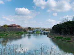 -上海海湾国家森林公园