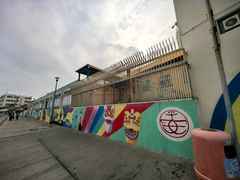 -长洲岛