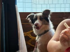 -蜀大侠火锅(春熙路店)