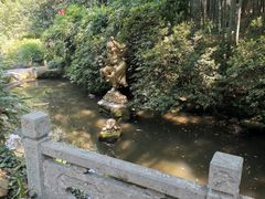 -杭州黄龙洞
