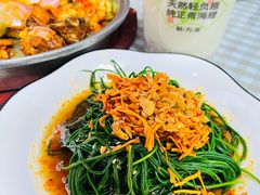 -尕胡才炕锅烤羊肉馆(八一路店)