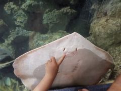 -杭州海底世界
