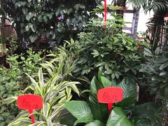 -秦美花卉(天朗·莱茵小城2期店)