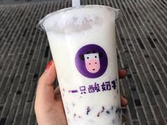 -一只酸奶牛(八一路店)