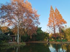 -橘子洲景区