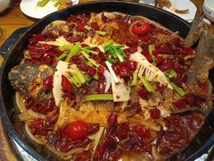 -老板恋上鱼(印象城店)