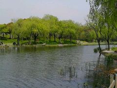 -新江湾城公园