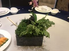 -许家菜(望江店)