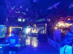 -烟台海昌鲸鲨海洋公园