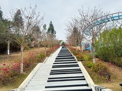 -盈香心动乐园