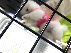 -宠物世家(仲盛世界商城店)
